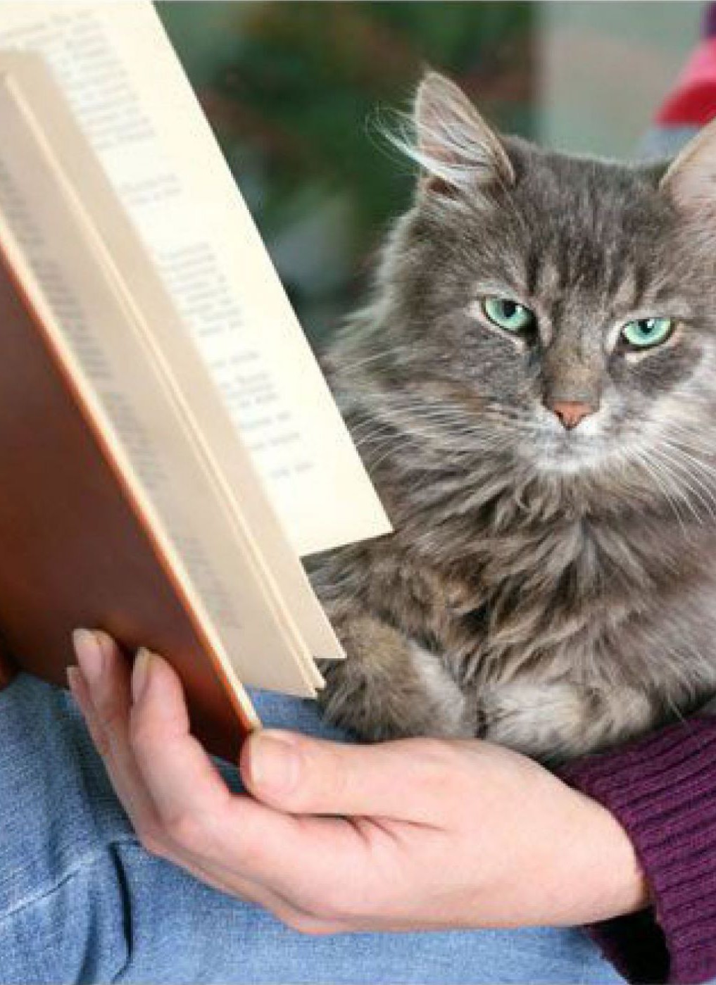 Buchtipps Tiere