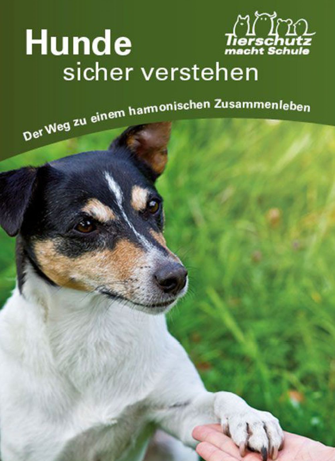Hunde sicher verstehen