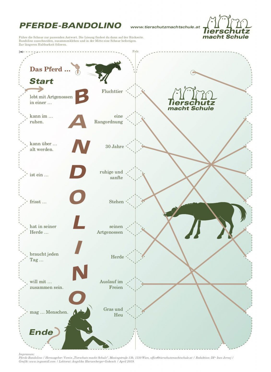 Bandolino Pferd