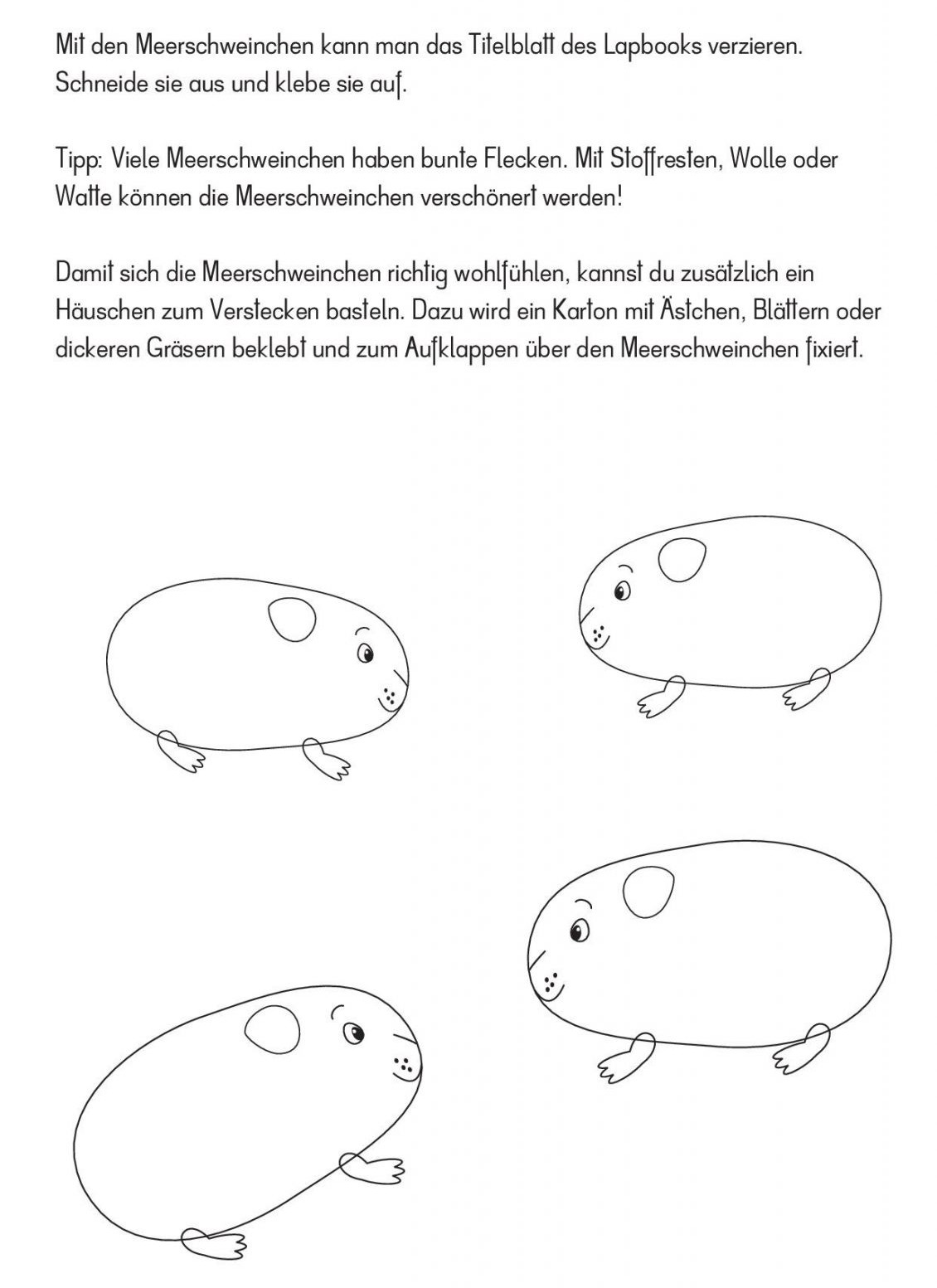 Lapbook Meerschweinchen
