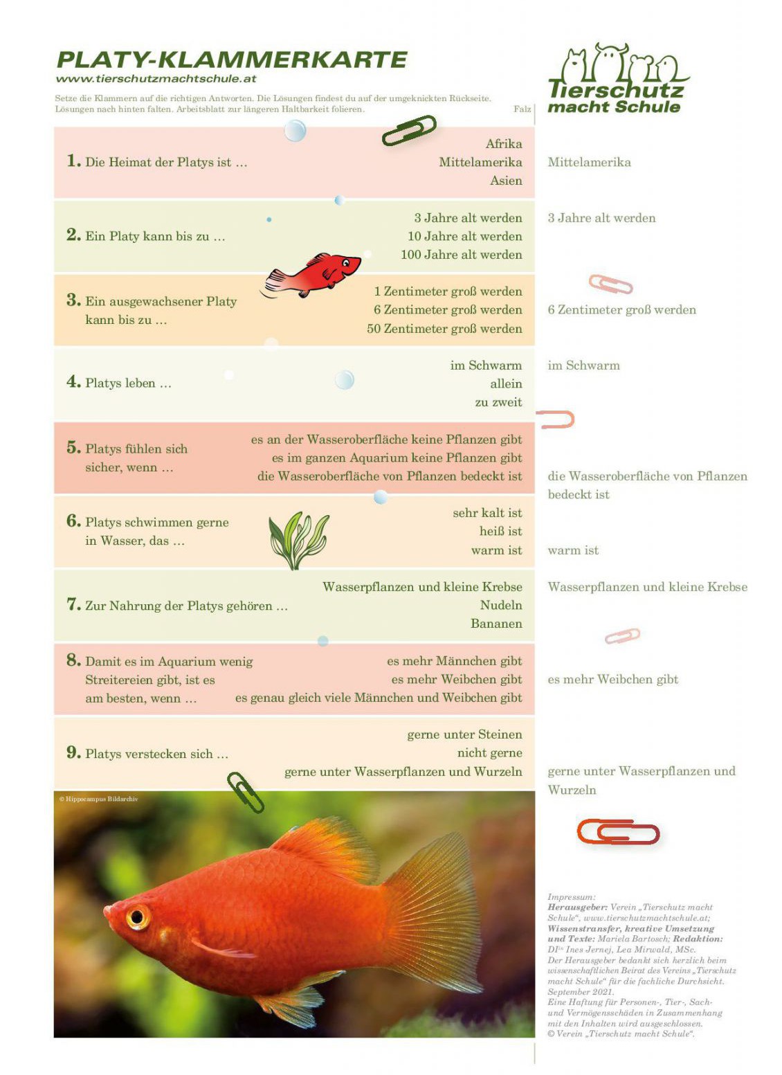 Klammerkarte Platy