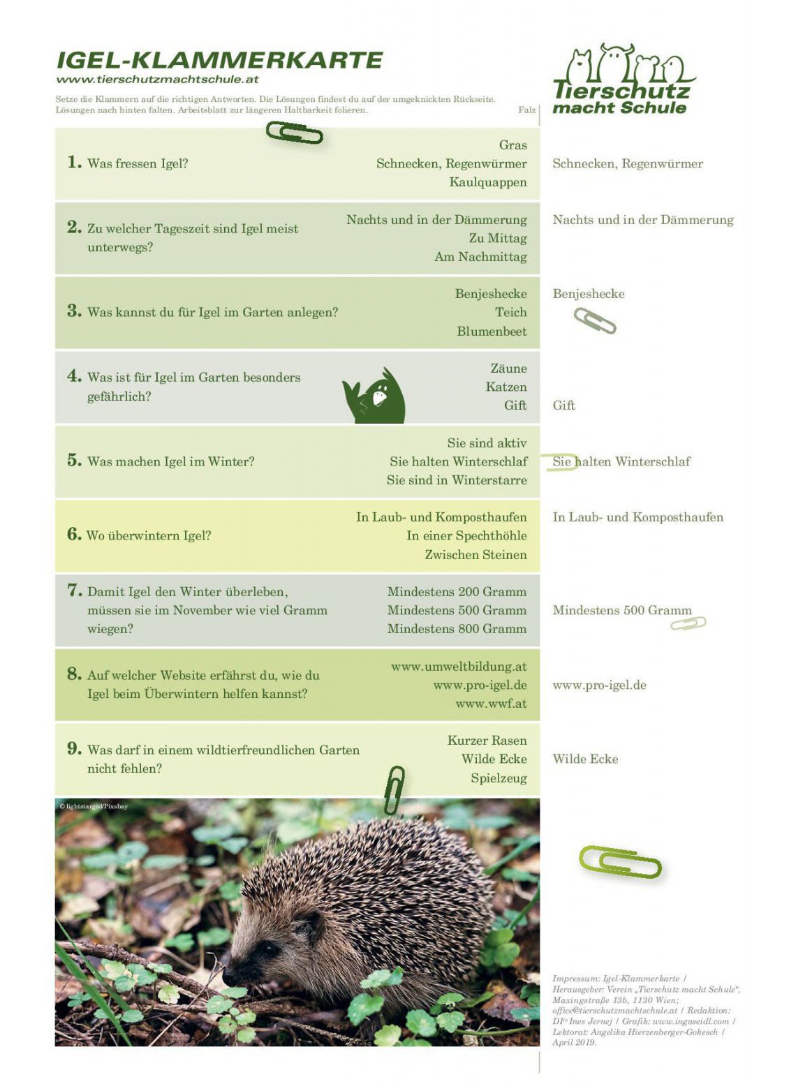 Klammerkarte Igel