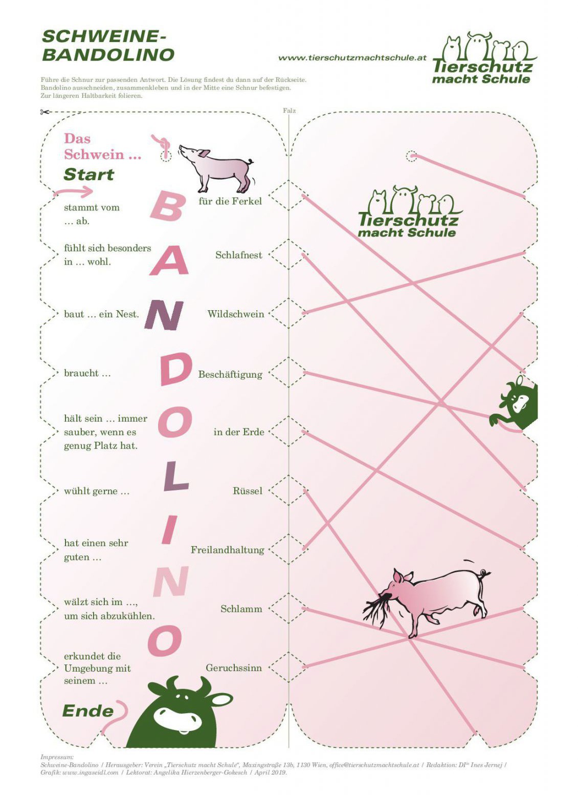 Bandolino Schweine