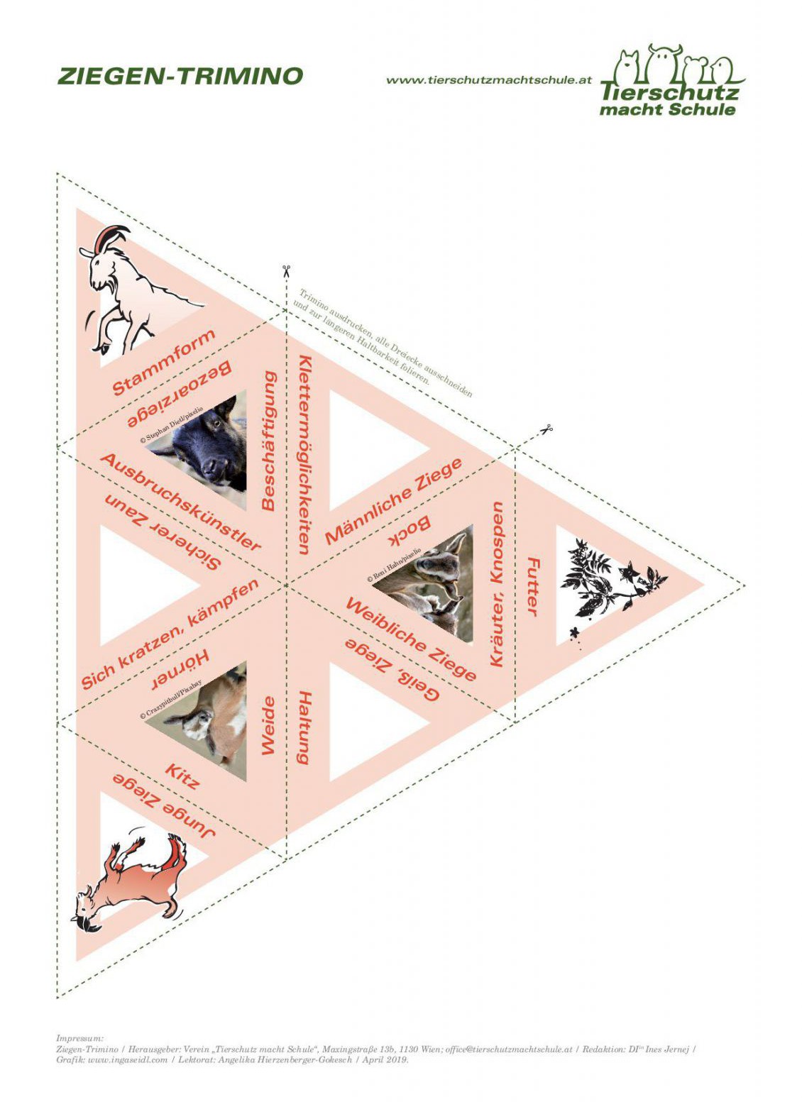Trimino Ziege