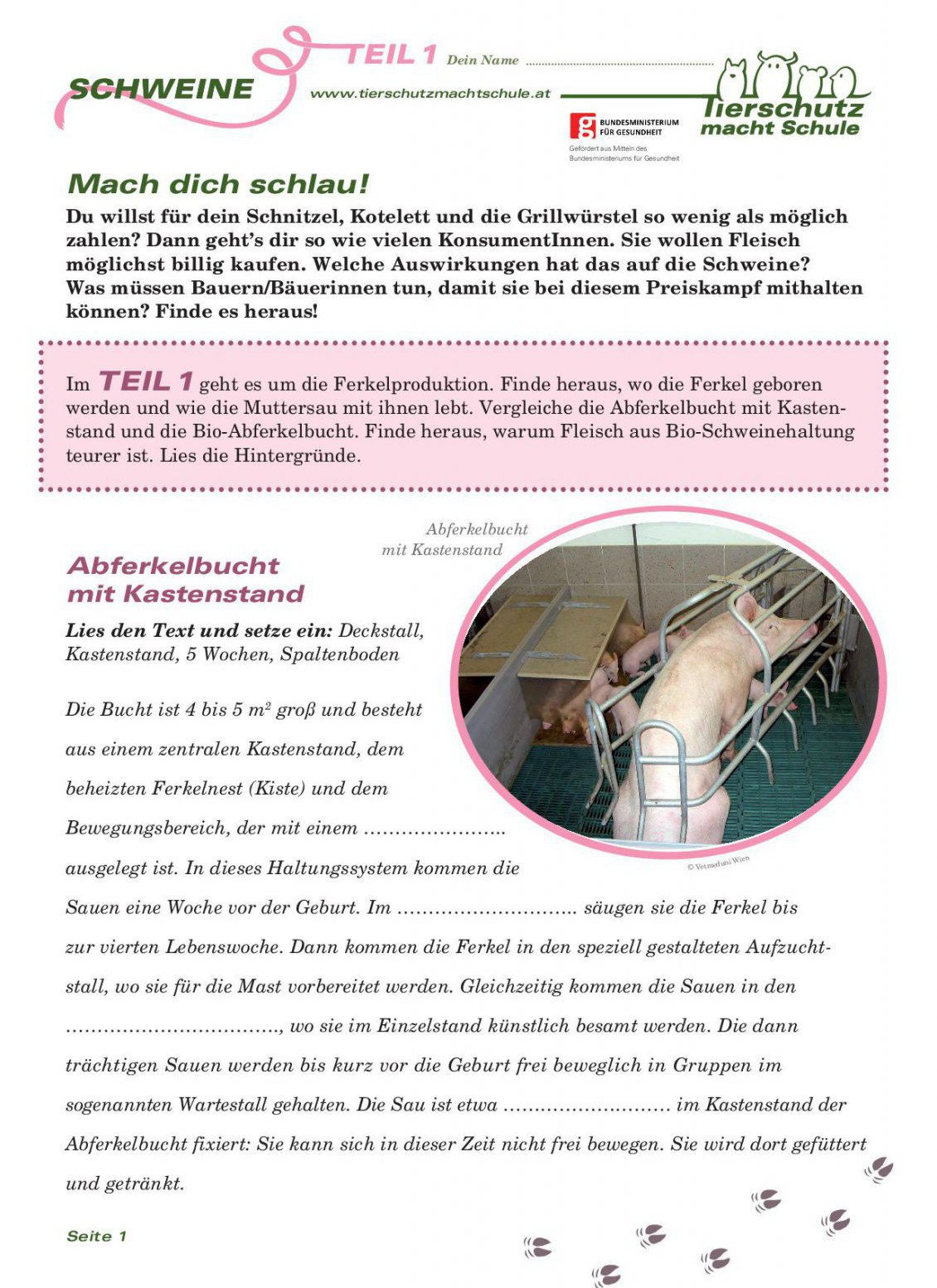 Arbeitsblätter Schweine