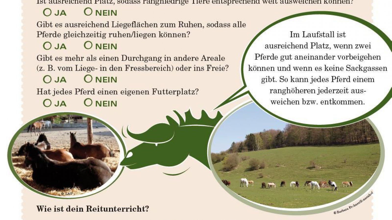auszug-pferdecheckliste