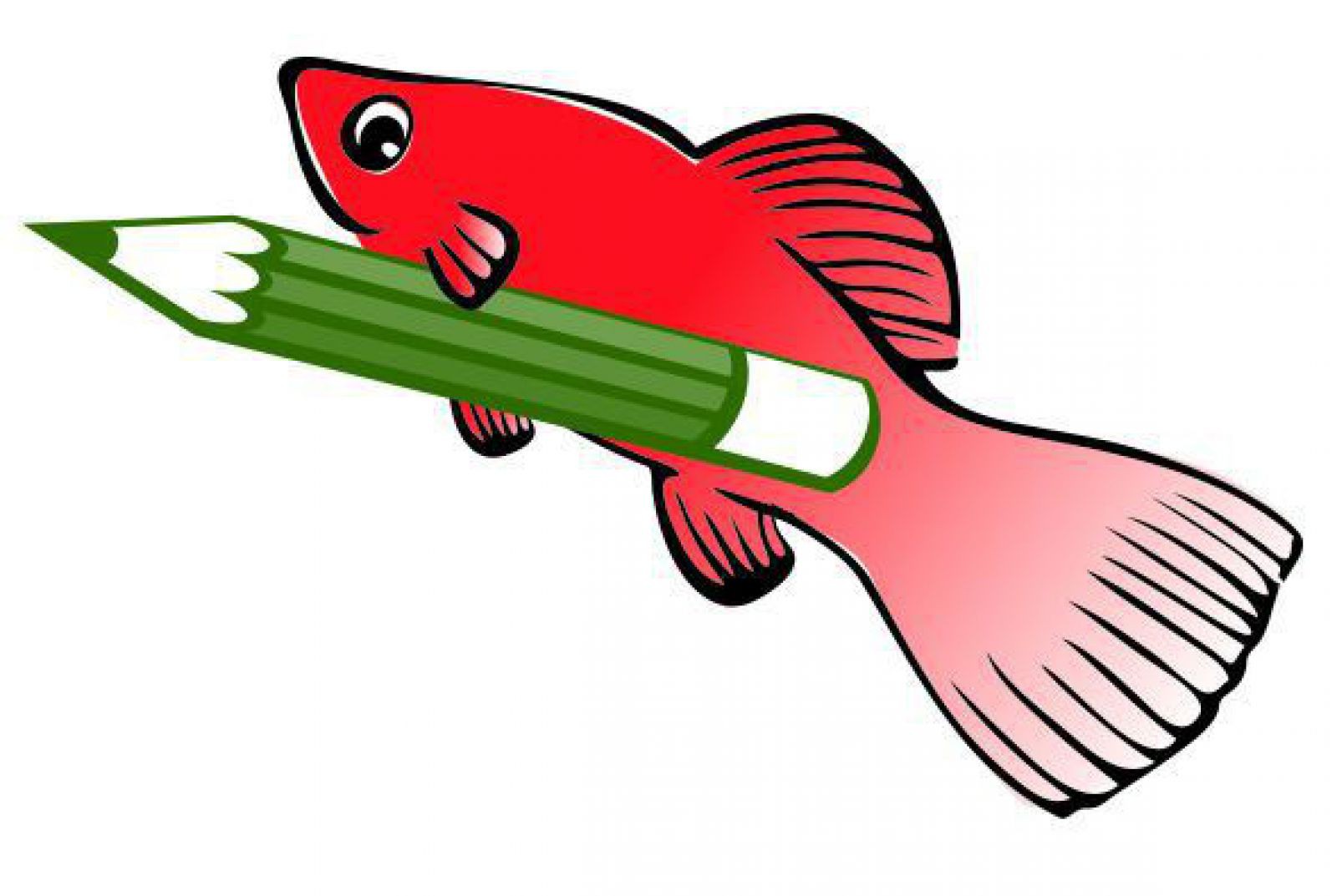 platy-fisch_stift_300_cmyk