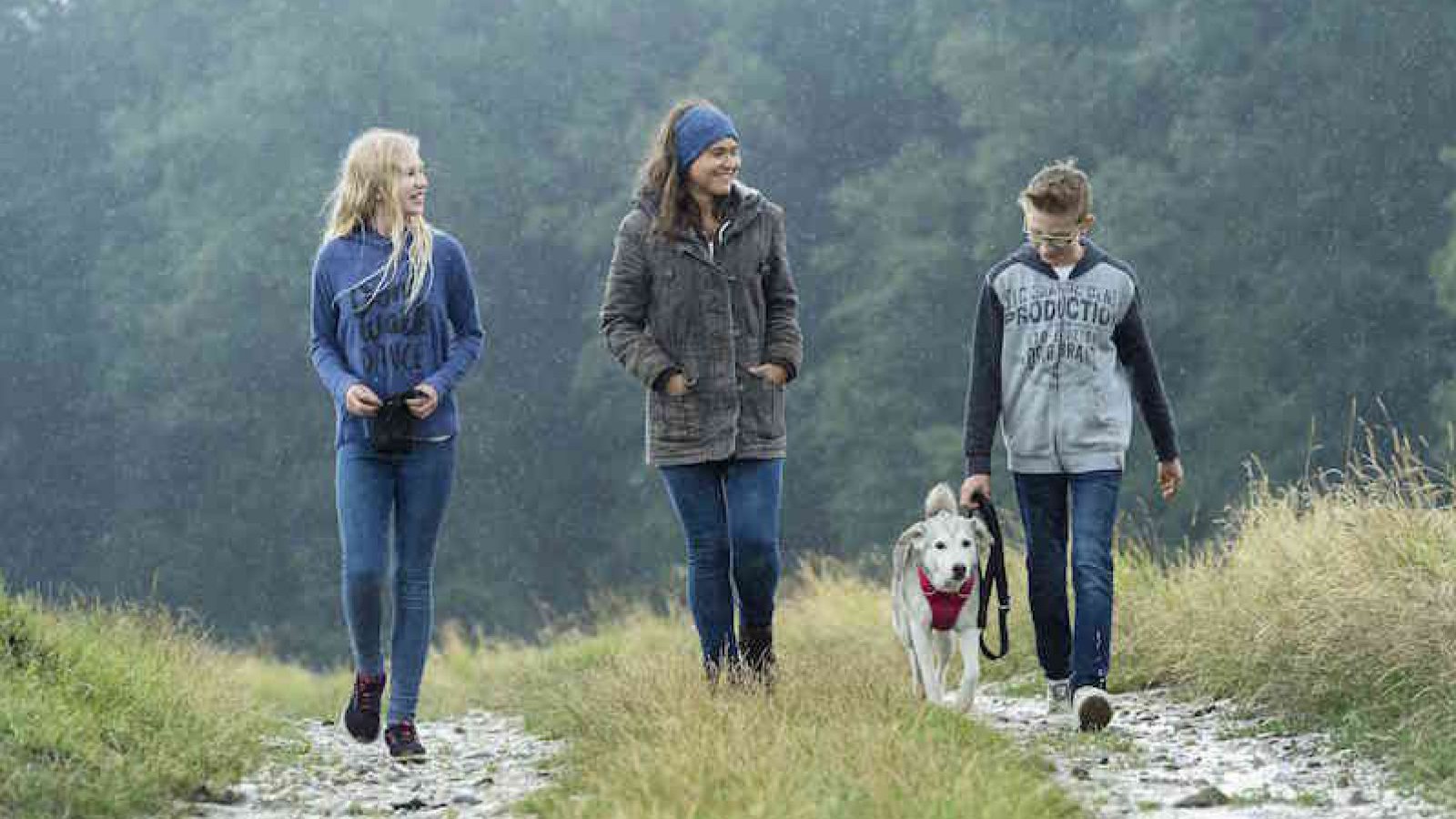 hund-spazieren-tms_zupanc_138-