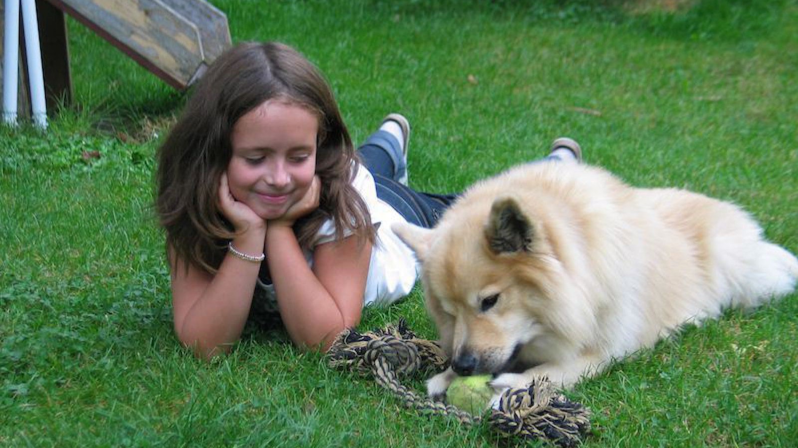 hund-und-madchen-gudrun-braun