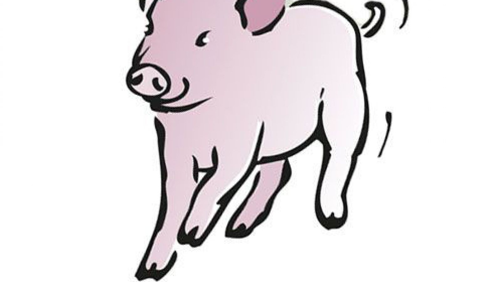 q_schwein