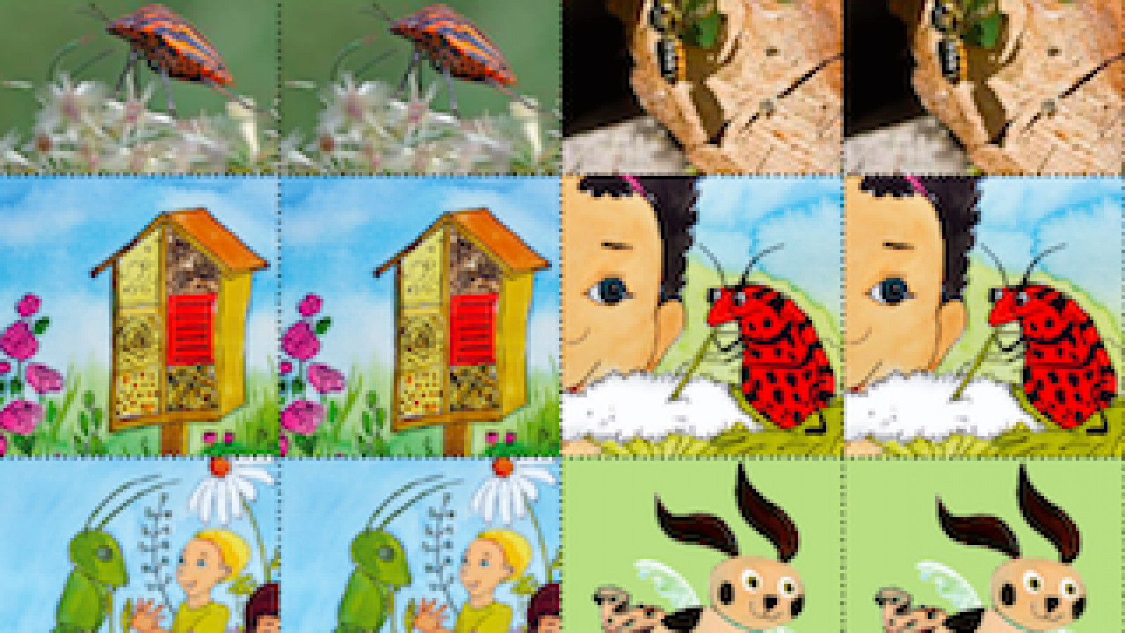 Memory Krabbeltiere