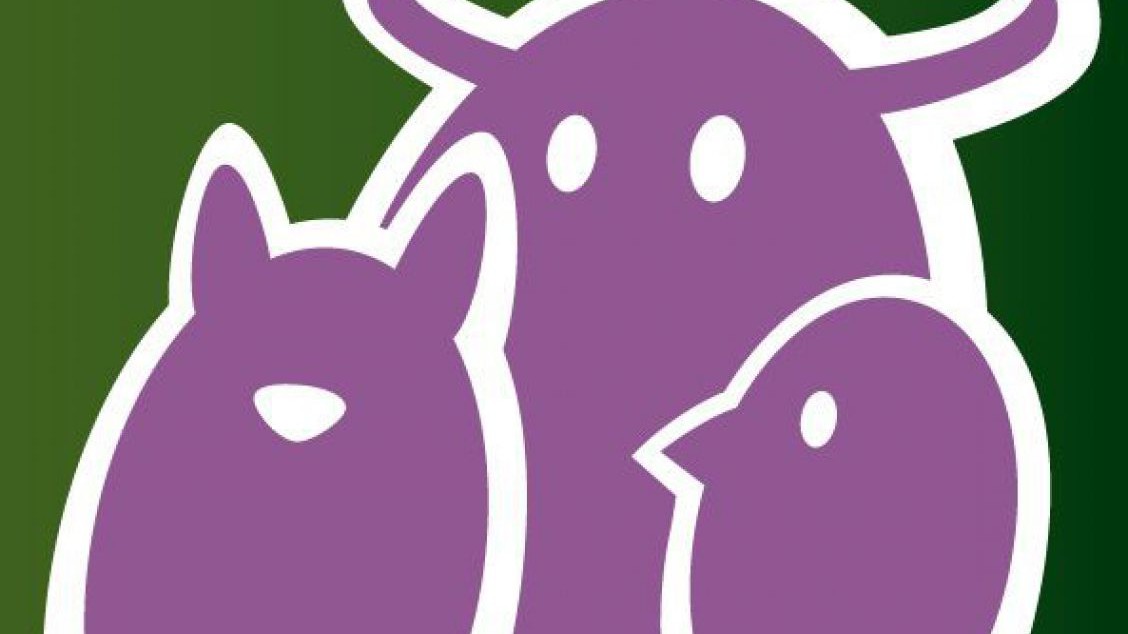 animal-pro_cover_web