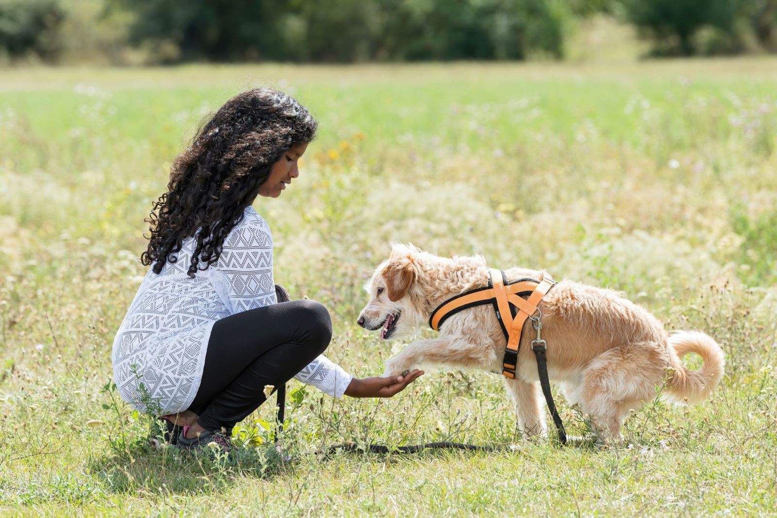 tms_sognohof_zupanc_109