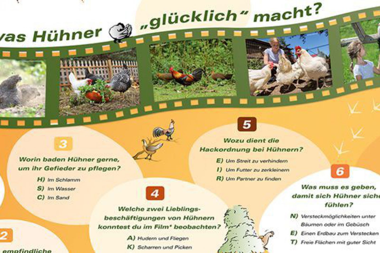teaser_begleitmaterial_huehner_rund