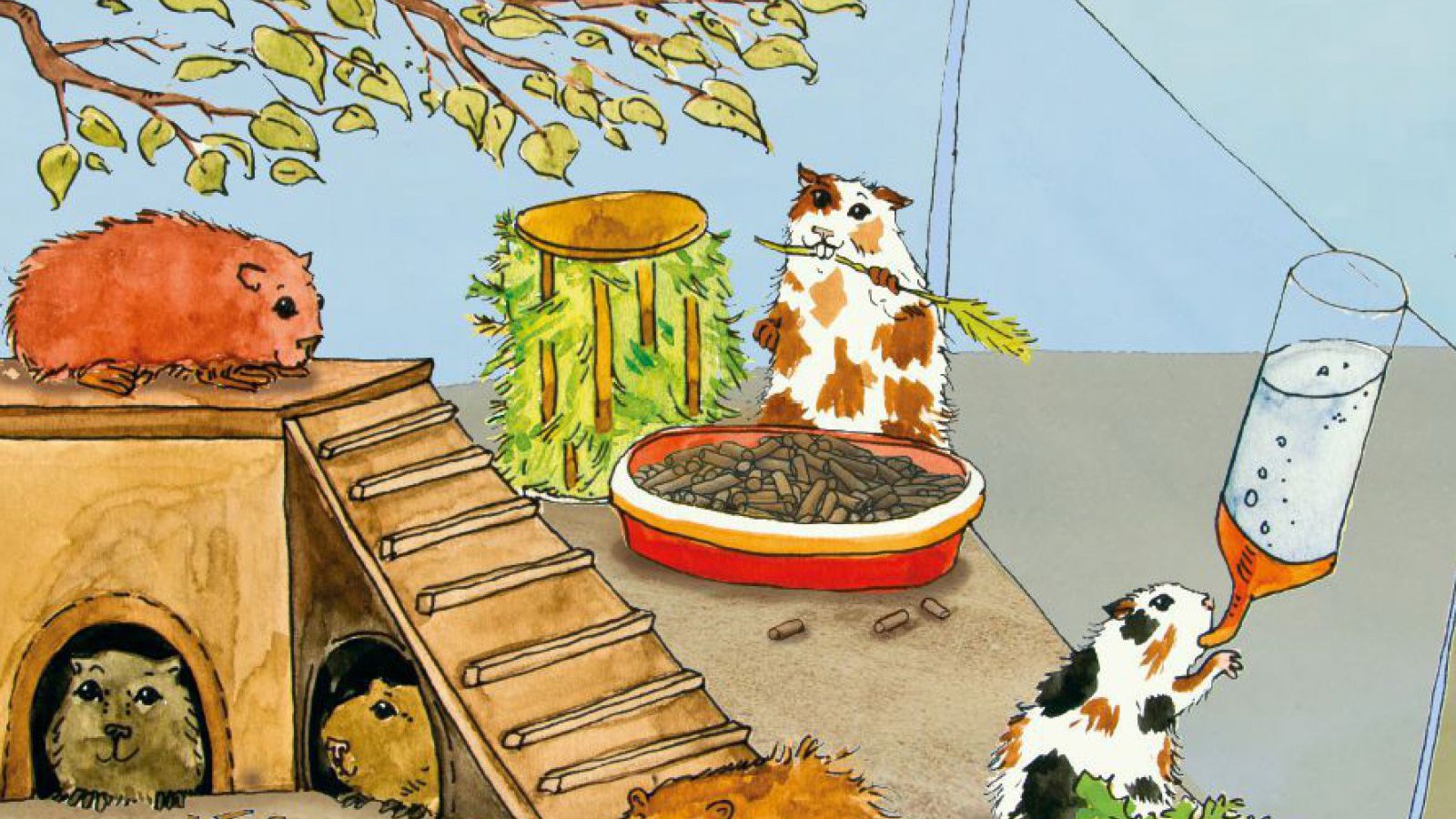 meerschweinchen_tiergerechte_kaefiggestaltung_wellka_tiere