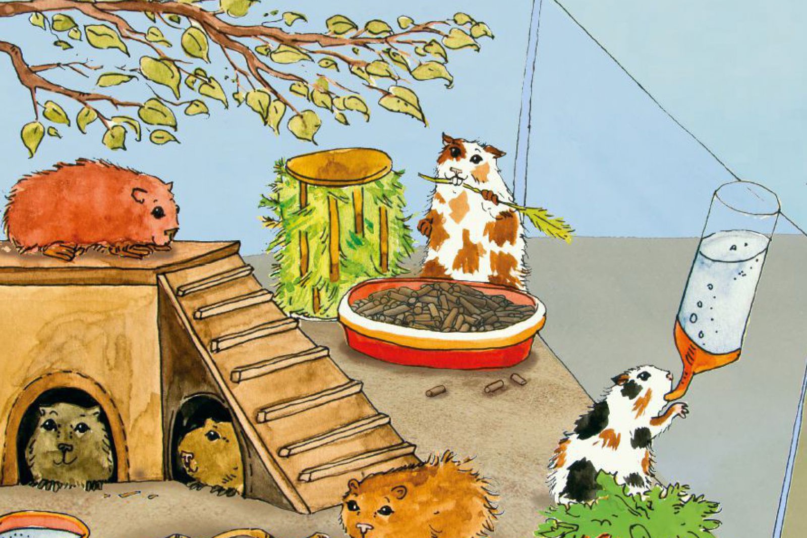 meerschweinchen_tiergerechte_kaefiggestaltung_wellka_tiere