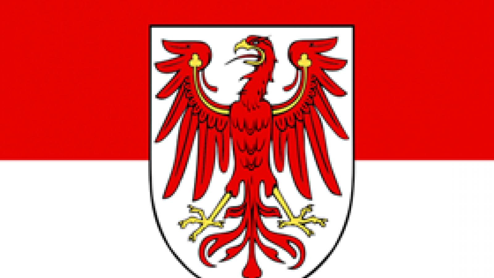 flagge tirol