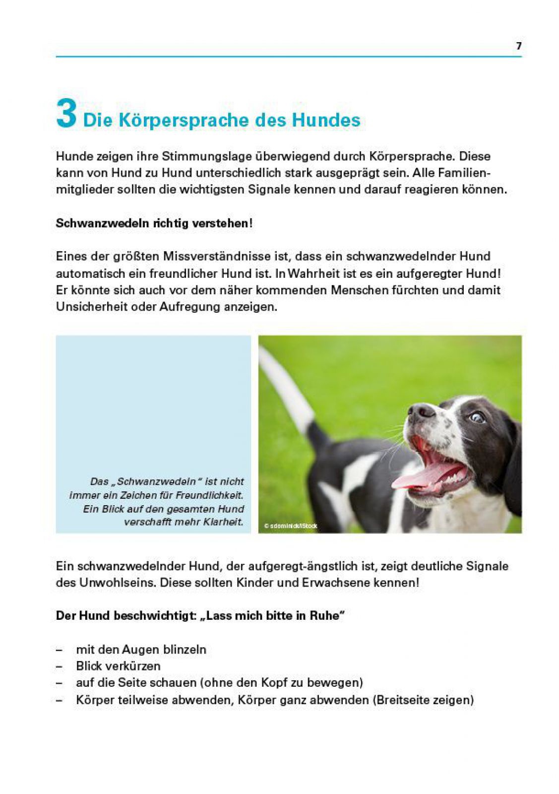 Kind Und Hund Aber Sicher