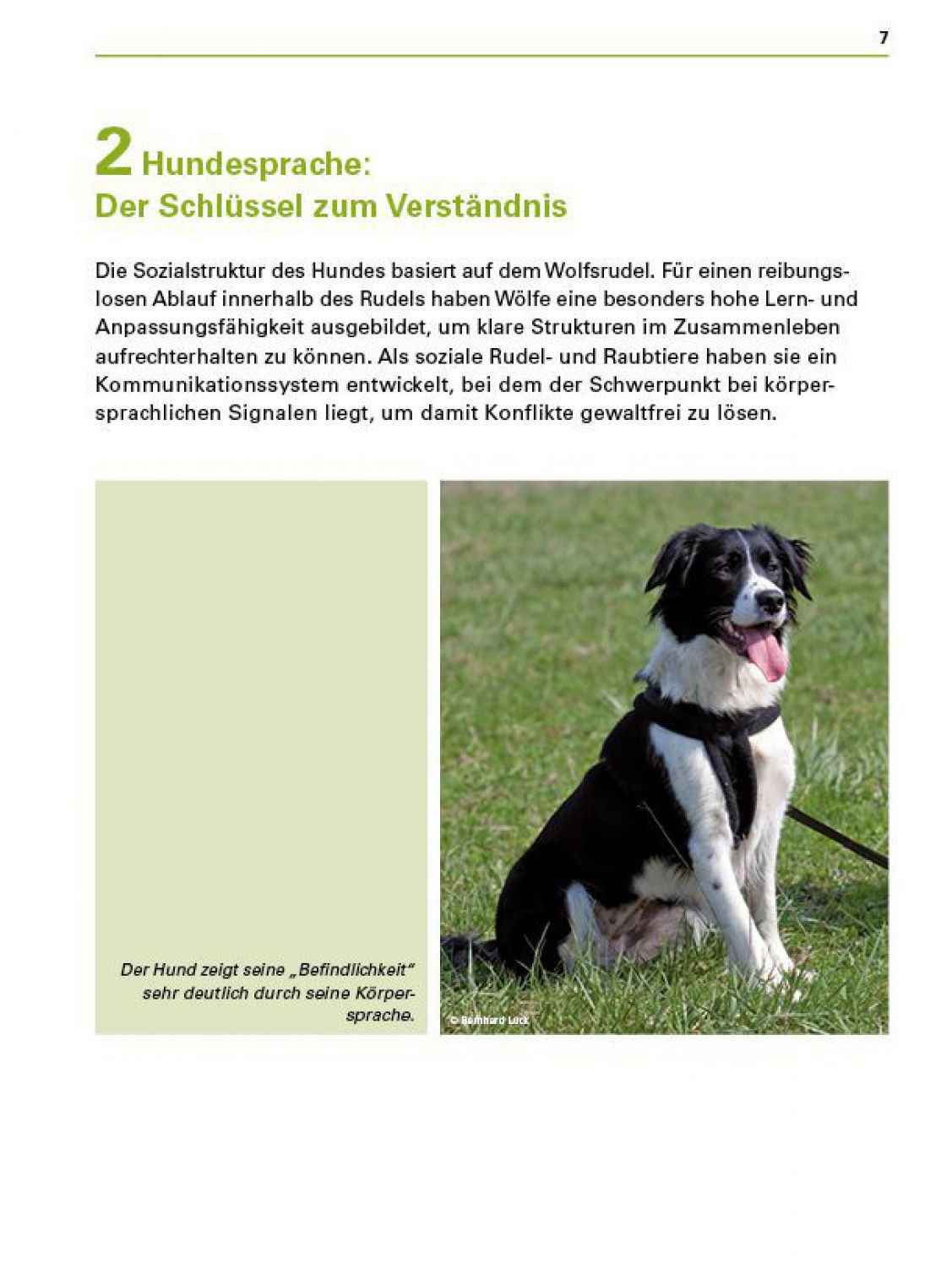 hunde_sicher_verstehen_s7