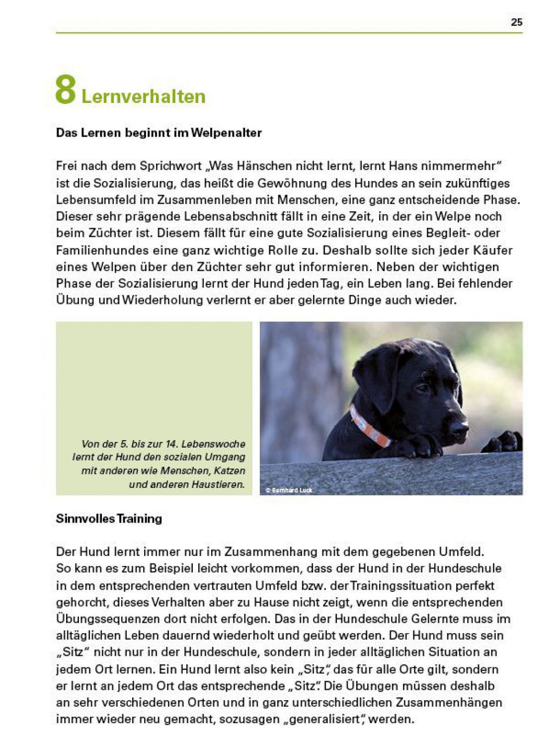 hunde_sicher_verstehen_s25