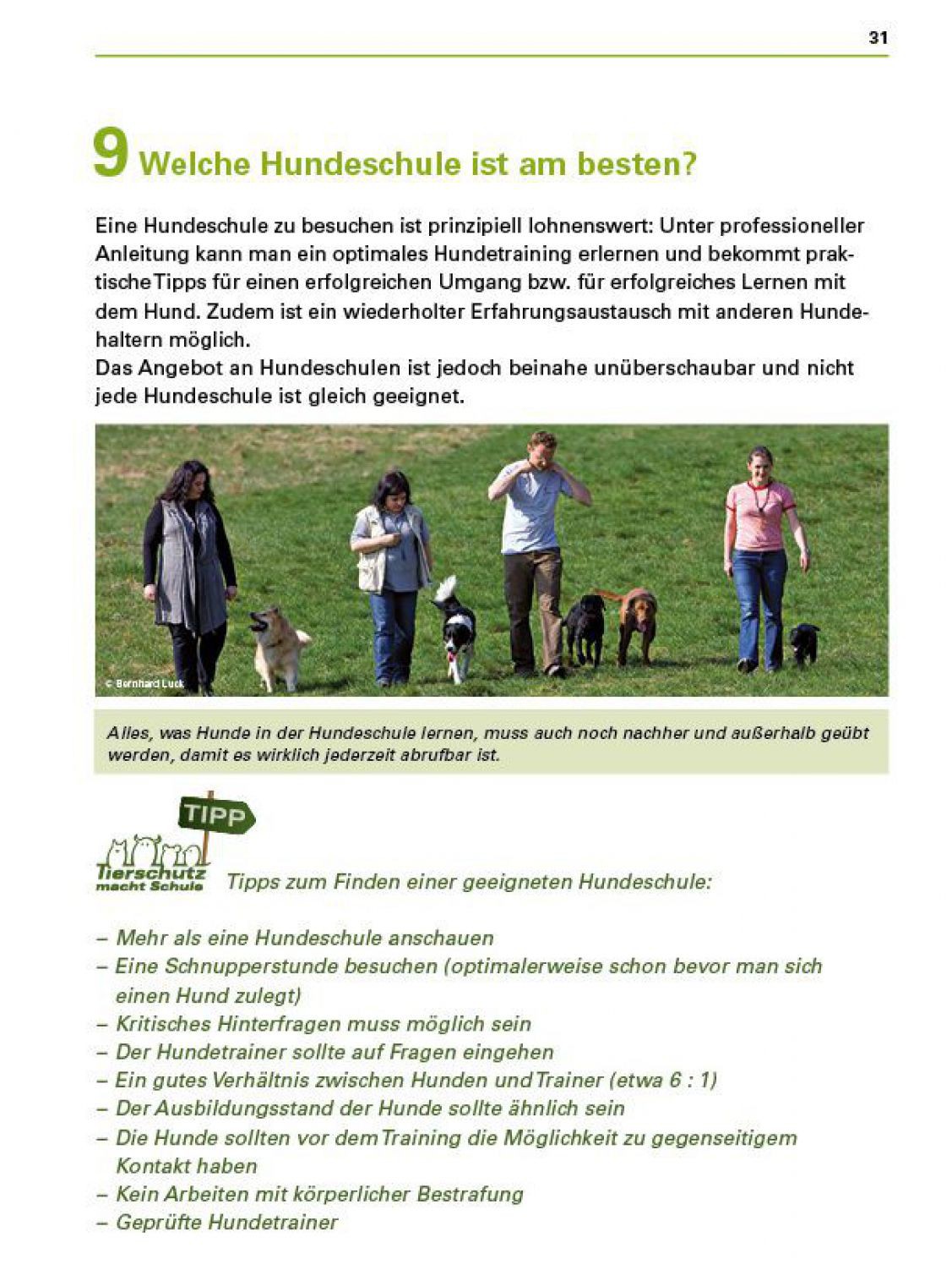 hunde_sicher_verstehen_s31