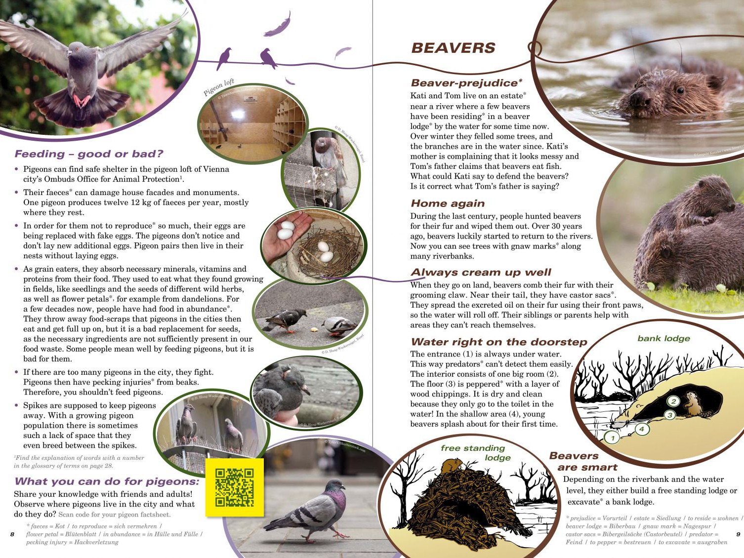 animal_pro_plus_s_8_9