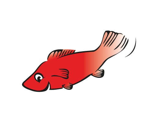 Katy Platy