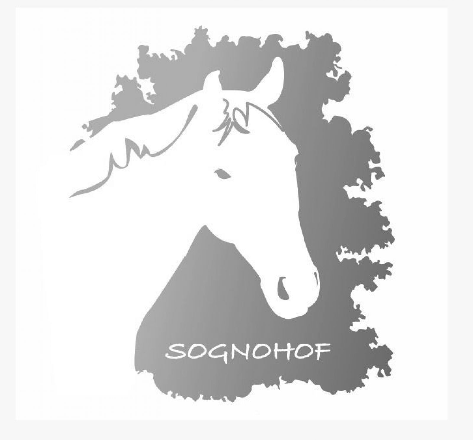 logo_sognohof_grau