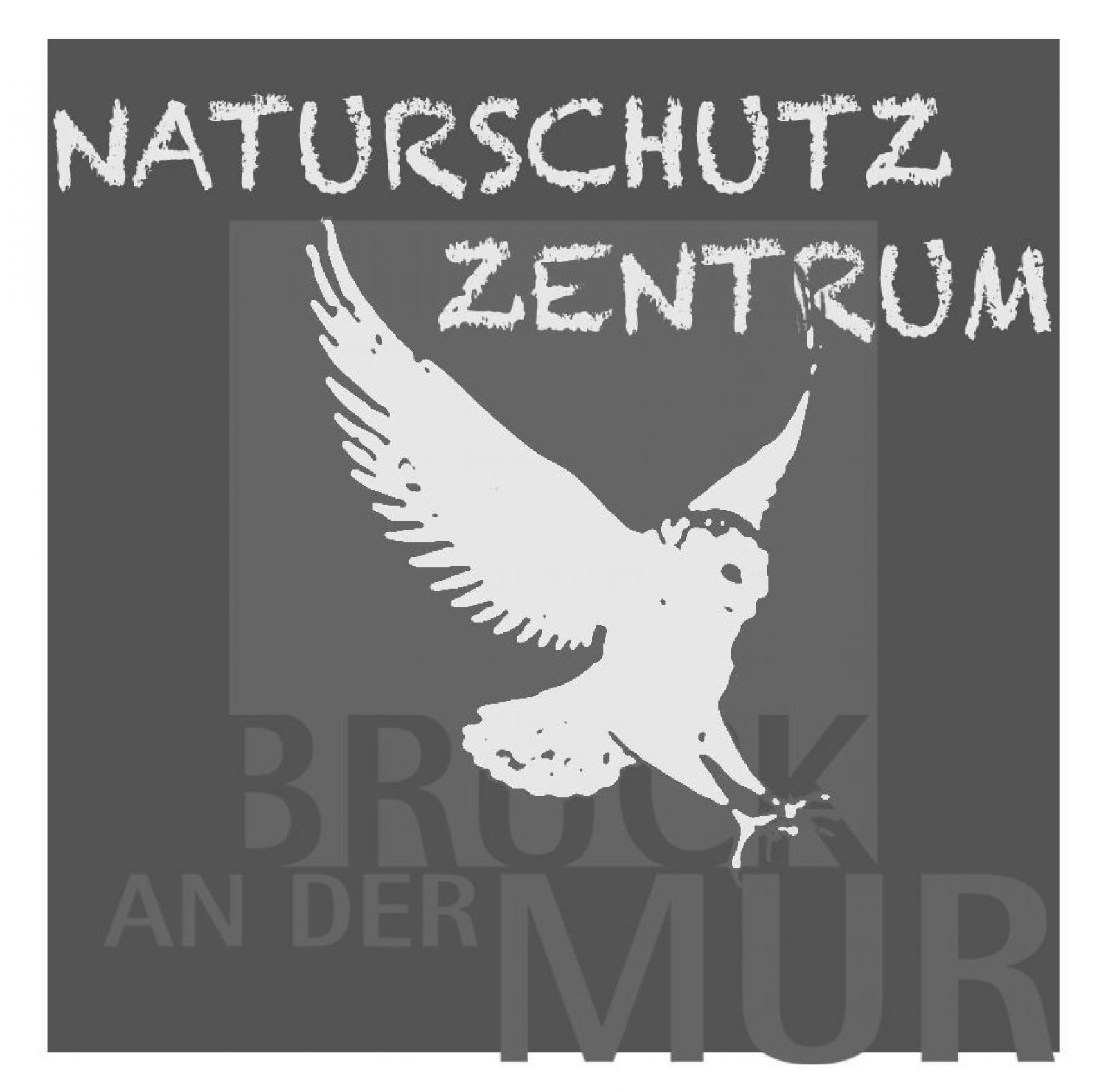 logo-nsz-2021-weiss_grau