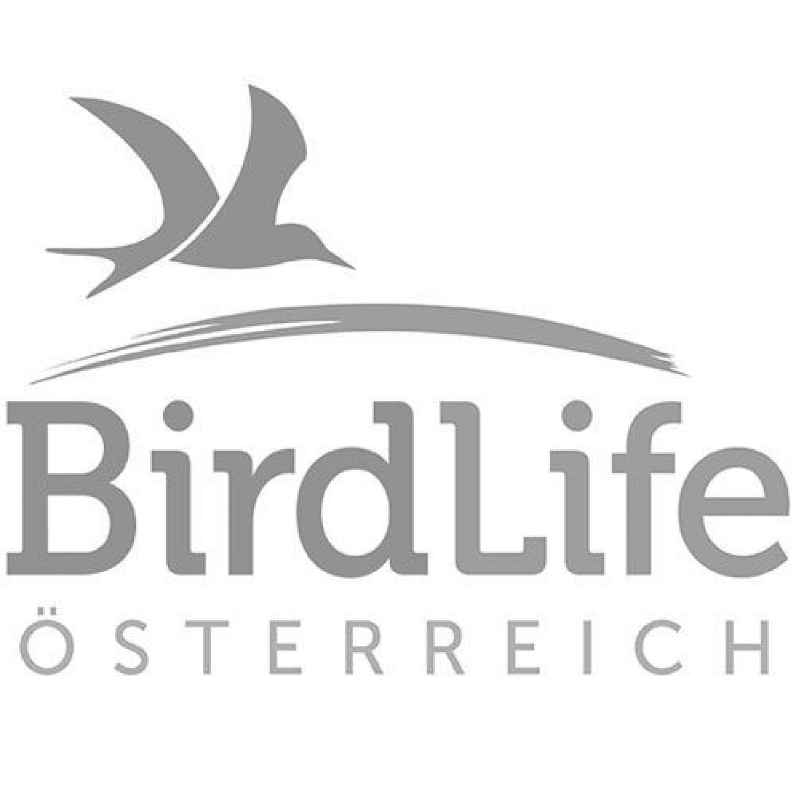 q_birdlife